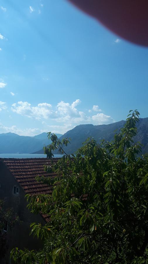 Apartments Katarina Κότορ Εξωτερικό φωτογραφία